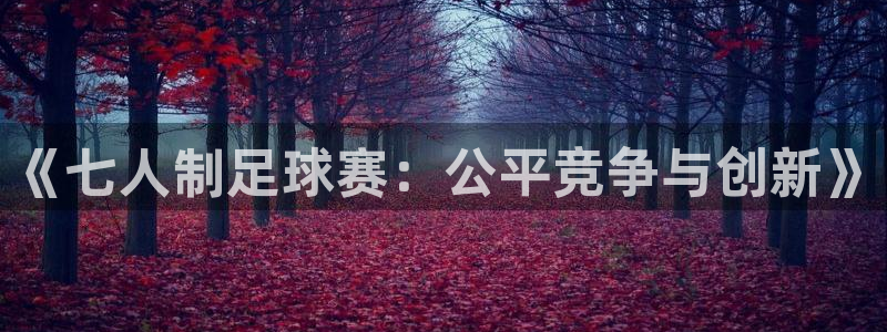  《七人制足球赛：公平竞争与创新》