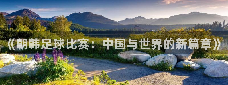  《朝韩足球比赛：中国与世界的新篇章》