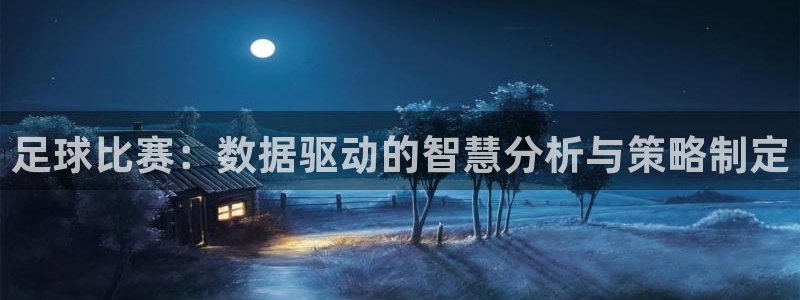 足球比赛：数据驱动的智慧分析与策略制定