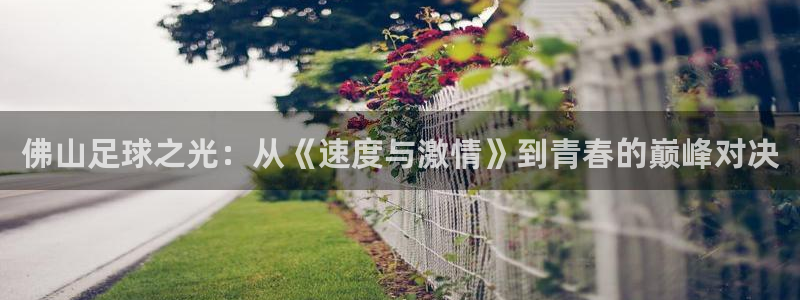 佛山足球之光：从《速度与激情》到青春