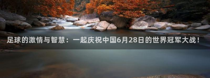 足球的激情与智慧：一起庆祝中国6月28日的世界冠军大战！