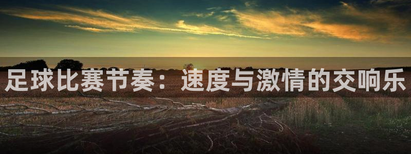 足球比赛节奏：速度与激情的交响乐