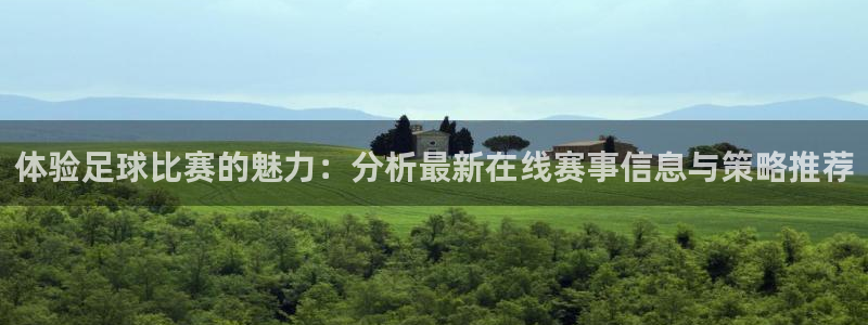  体验足球比赛的魅力：分析最新在线赛事信息与策略推荐