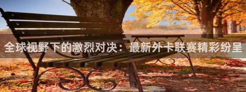  全球视野下的激烈对决：最新外卡联赛精彩纷呈