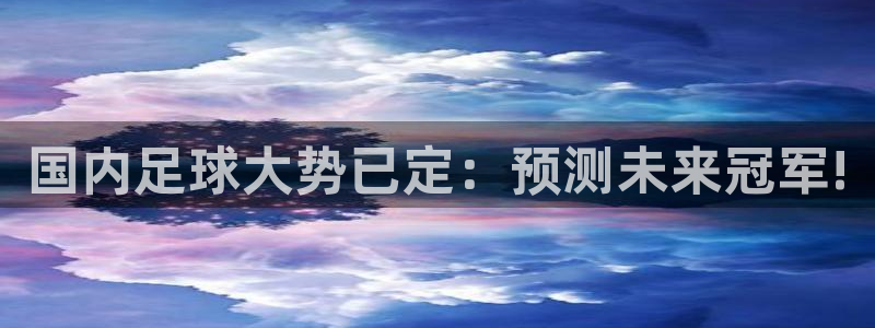  国内足球大势已定：预测未来冠军!