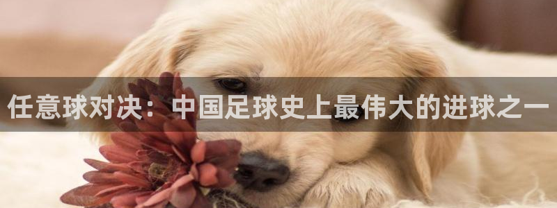 任意球对决：中国足球史上最伟大的进球之一