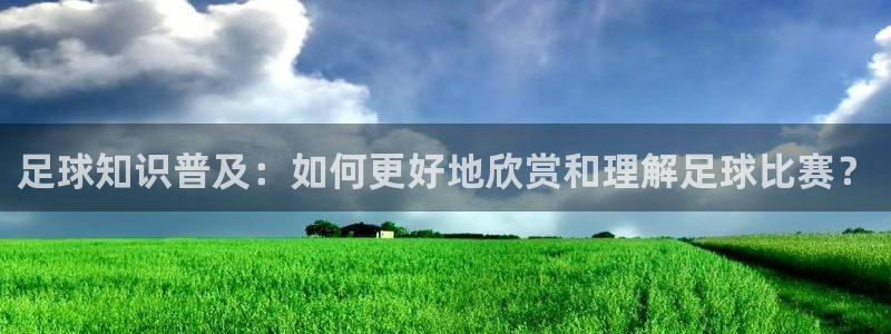  足球知识普及：如何更好地欣赏和理解足球比赛？