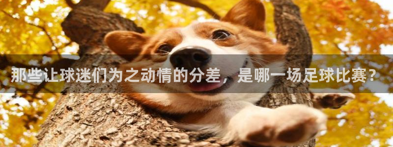  那些让球迷们为之动情的分差，是哪一场足球比赛？