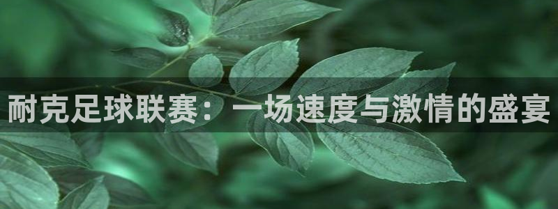 耐克足球联赛：一场速度与激情的盛宴