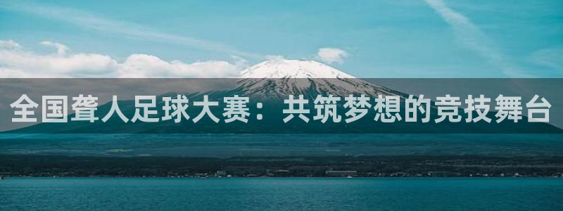  全国聋人足球大赛：共筑梦想的竞技舞台