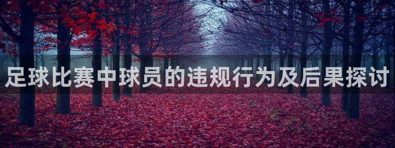  足球比赛中球员的违规行为及后果探讨