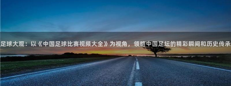  足球大观：以《中国足球比赛视频大全》为视角，领略中国足坛的精