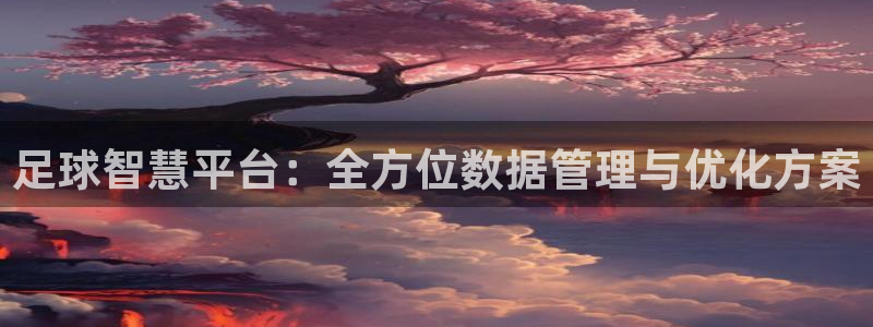  足球智慧平台：全方位数据管理与优化方案