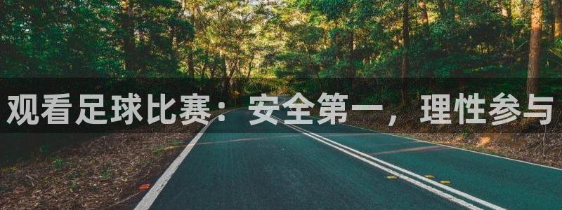观看足球比赛：安全第一，理性参与