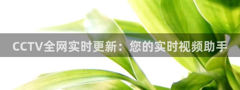 新球体育完整版：CCTV全网实时更新：您的实时视频助手