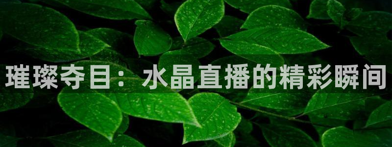 新球体育即时分：璀璨夺目：水晶直播的精彩瞬间